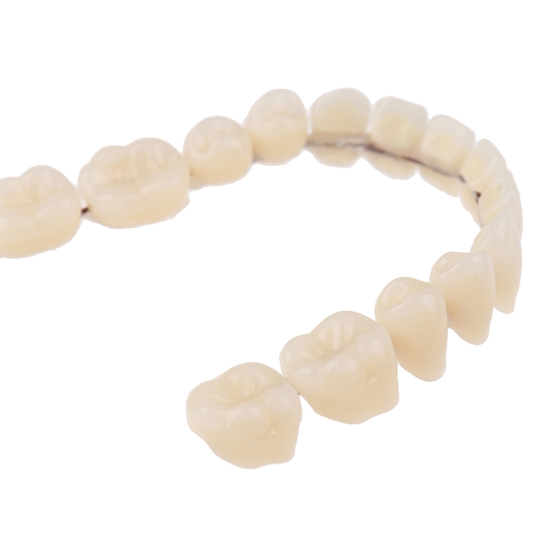 Harz Zähne Prothese Oberen Unt – Teeth Whitening Mask Bewertung und Preis